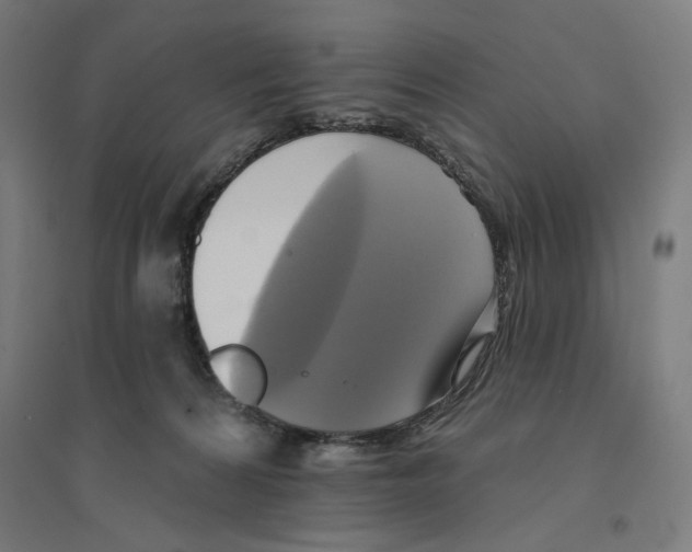 X0000094420224200712061058