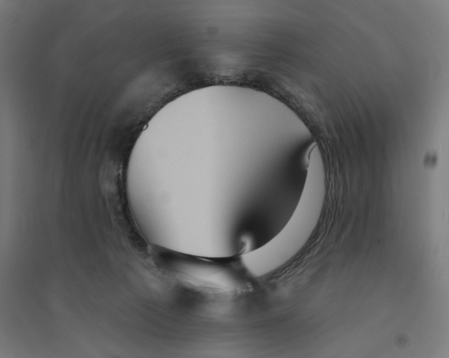 X0000094420225200712061058