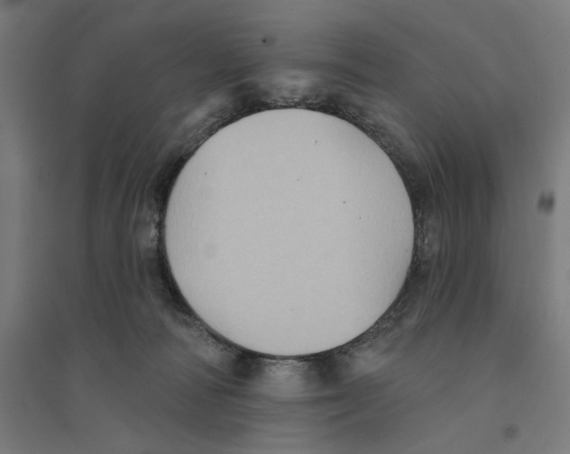 X0000094420226200712061058