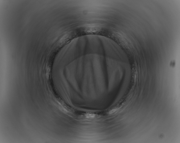 X0000094420227200712061058