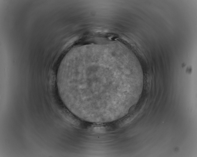 X0000094420228200712061058