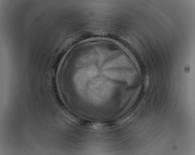 X0000094420229200712061058