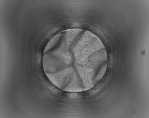 X0000094420230200712061058