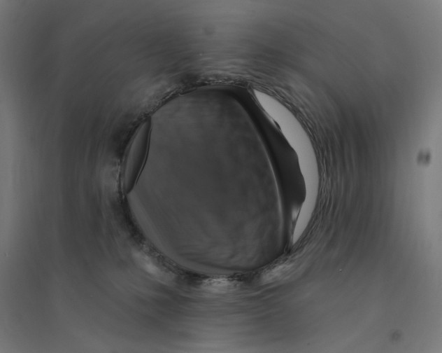 X0000094420231200712061058