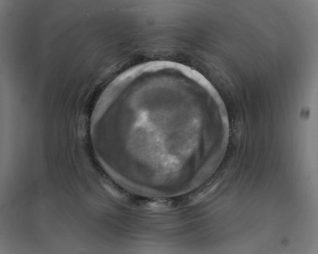 X0000094420232200712061058