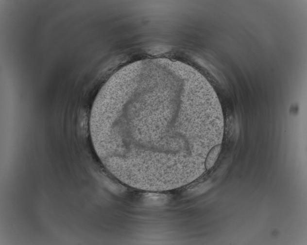 X0000094420234200712061058