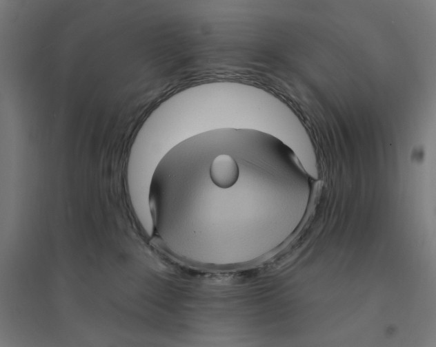 X0000094420235200712061058