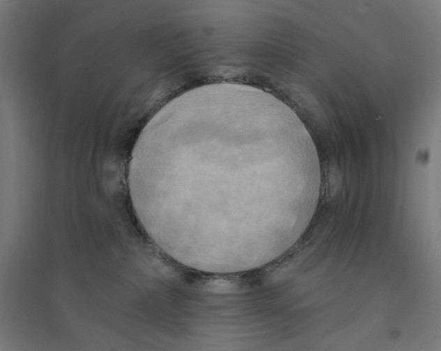 X0000094420236200712061058