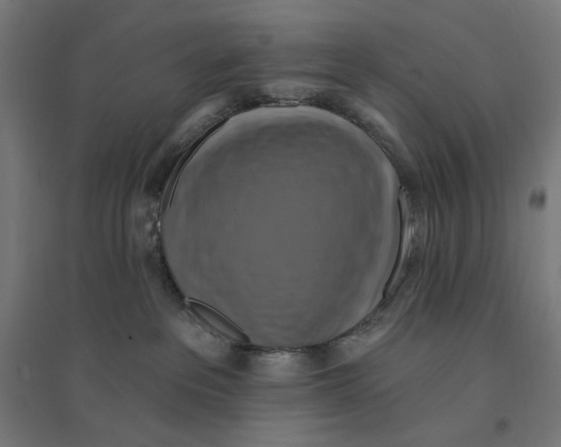 X0000094420237200712061058