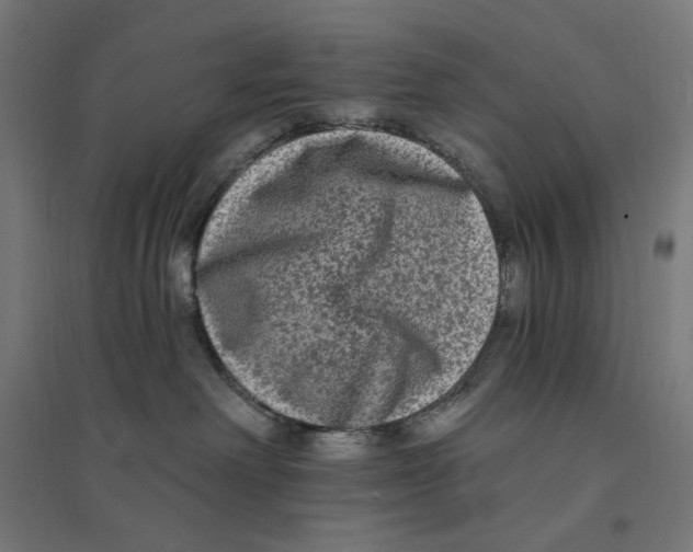 X0000094420238200712061058