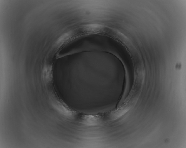 X0000094420239200712061058