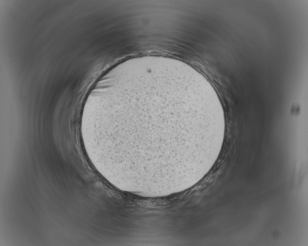 X0000094420241200712061057