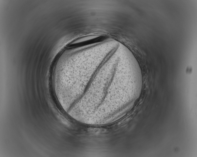 X0000094420242200712061057