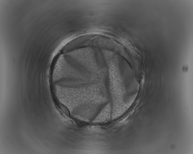 X0000094420244200712061057