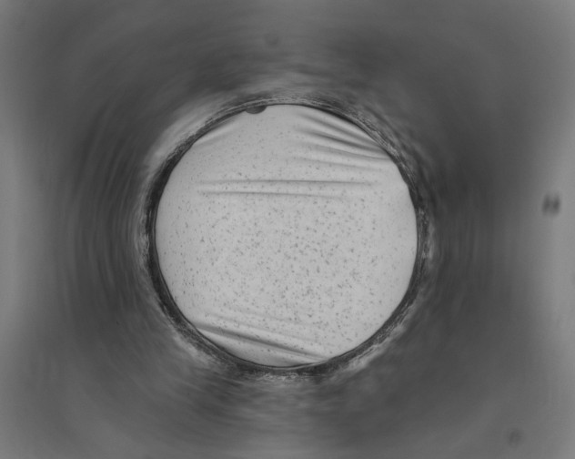 X0000094420245200712061057