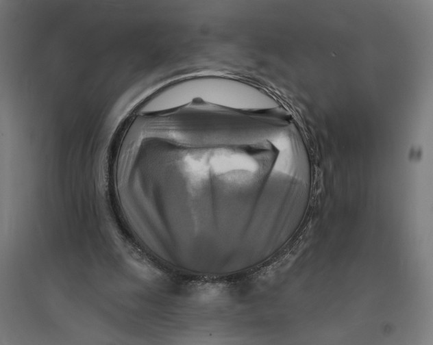 X0000094420247200712061057