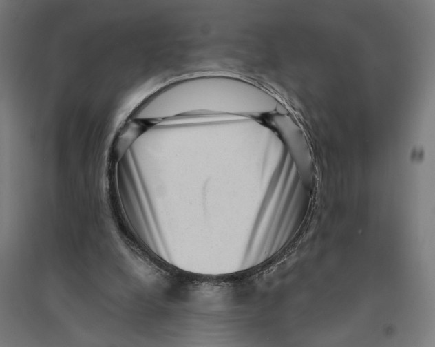 X0000094420248200712061058