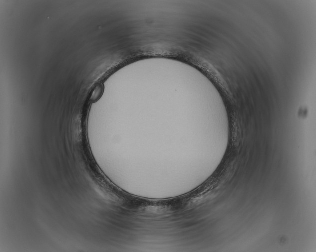 X0000094420251200712061058