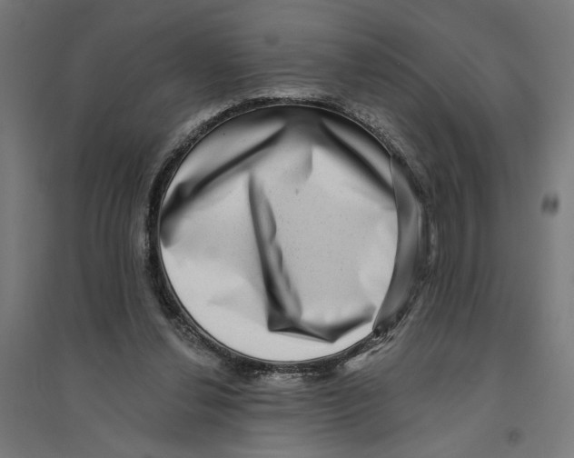 X0000094420252200712061058