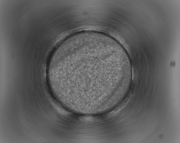 X0000094420253200712061058