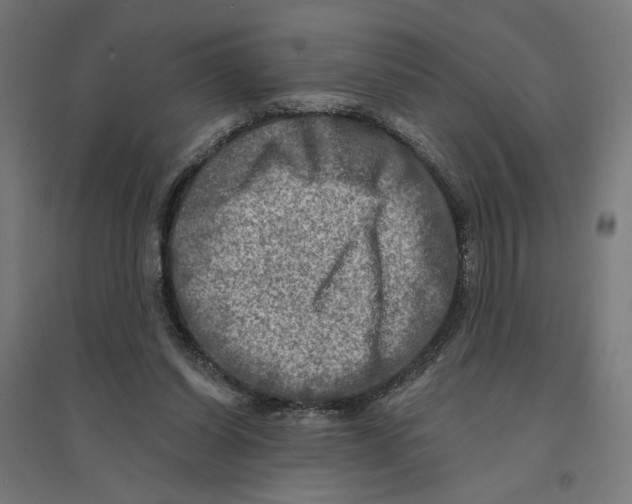 X0000094420254200712061058