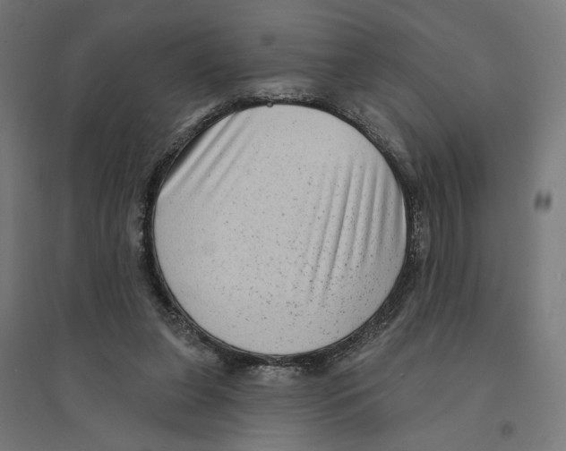 X0000094420255200712061058