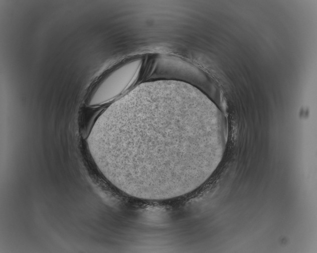 X0000094420256200712061058