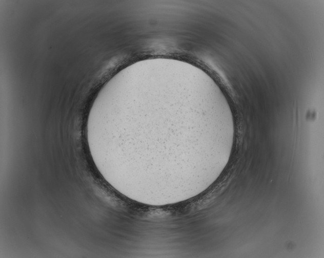 X0000094420257200712061058