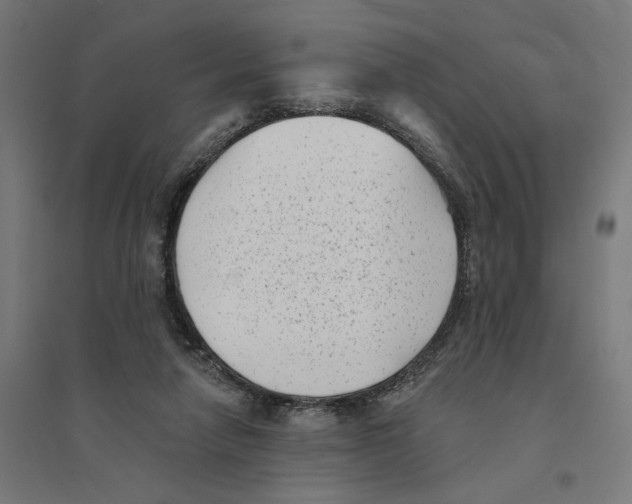 X0000094420258200712061058