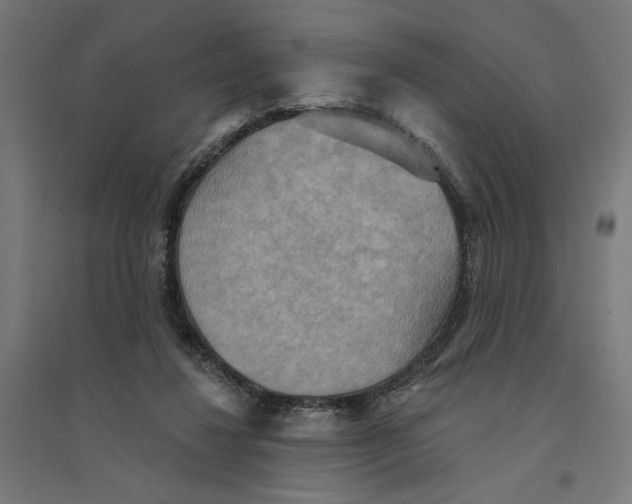 X0000094420260200712061058