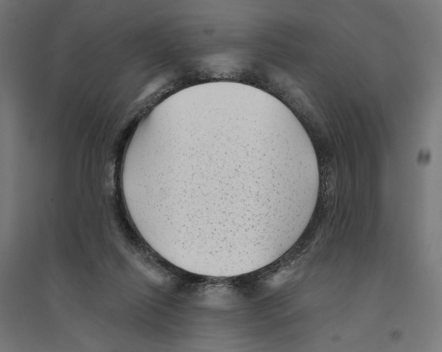 X0000094420262200712061058