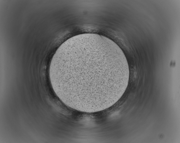 X0000094420263200712061058