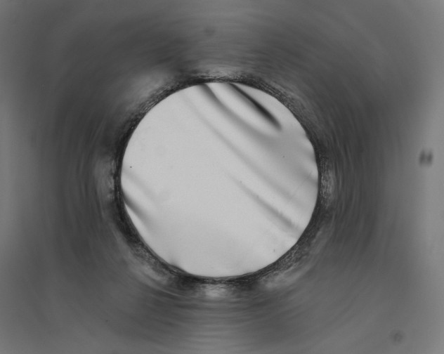 X0000094420264200712061058