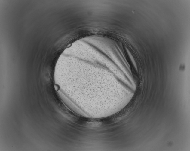 X0000094420266200712061058