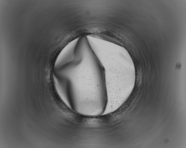 X0000094420268200712061058