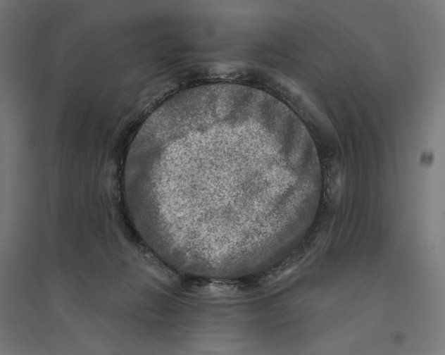 X0000094420270200712061058