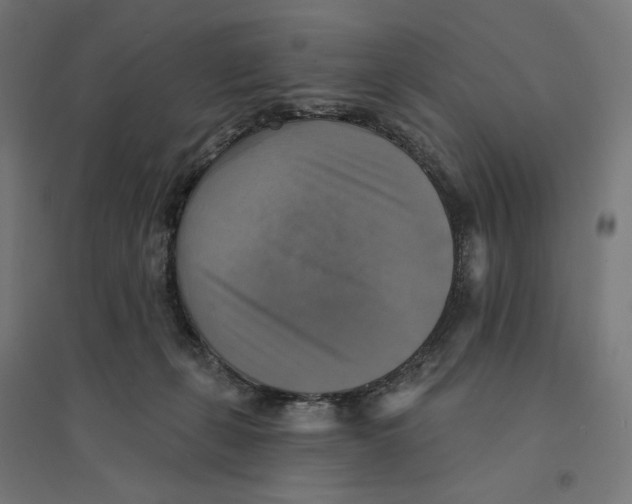 X0000094420271200712061058