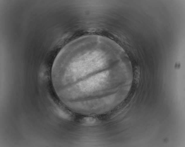 X0000094420272200712061058