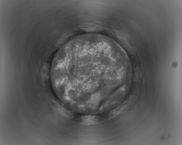 X0000094420273200712061058