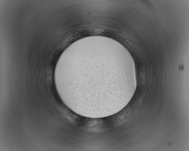 X0000094420274200712061058