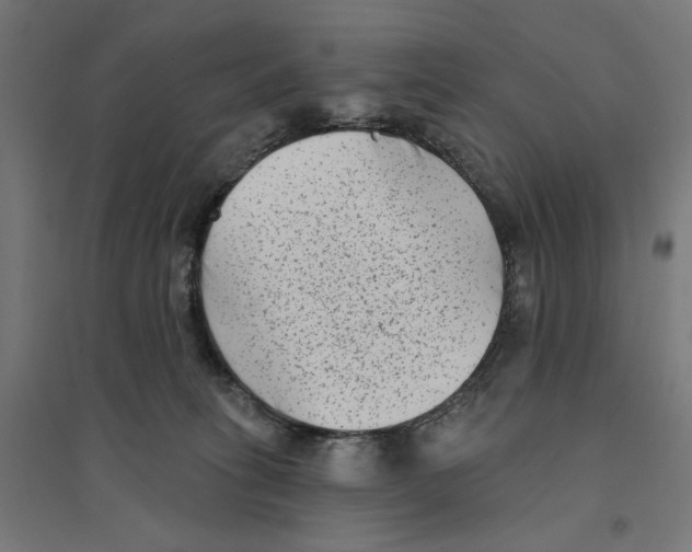 X0000094420275200712061058