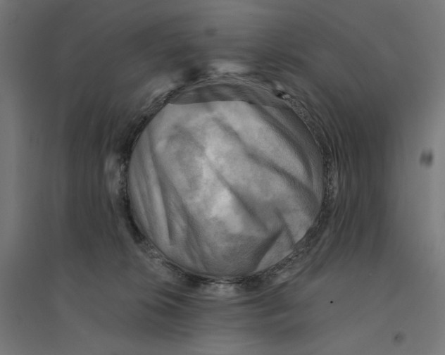 X0000094420276200712061058