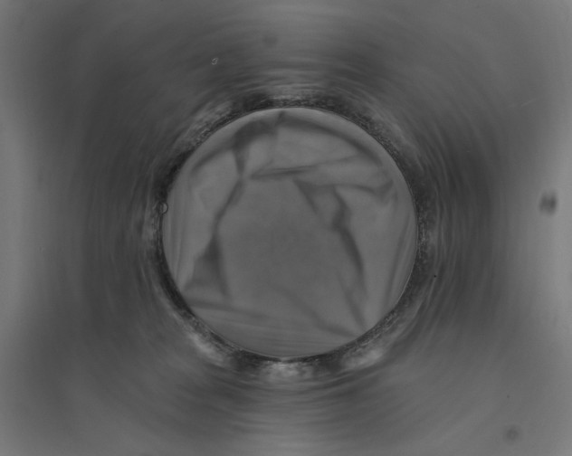 X0000094420277200712061058