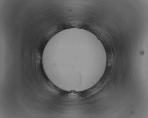 X0000094420279200712061058