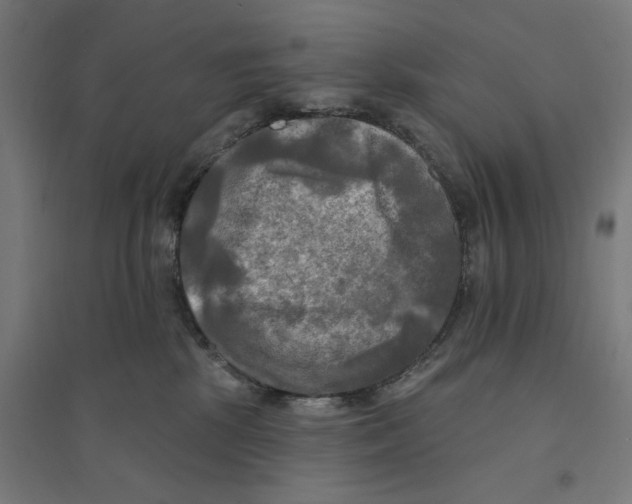 X0000094420281200712061058