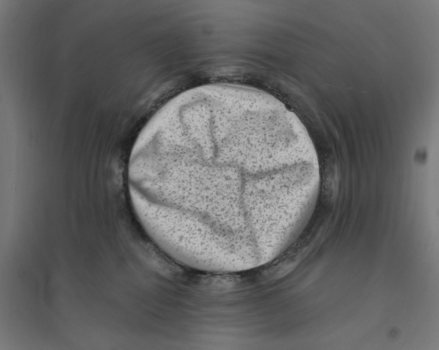 X0000094420282200712061058