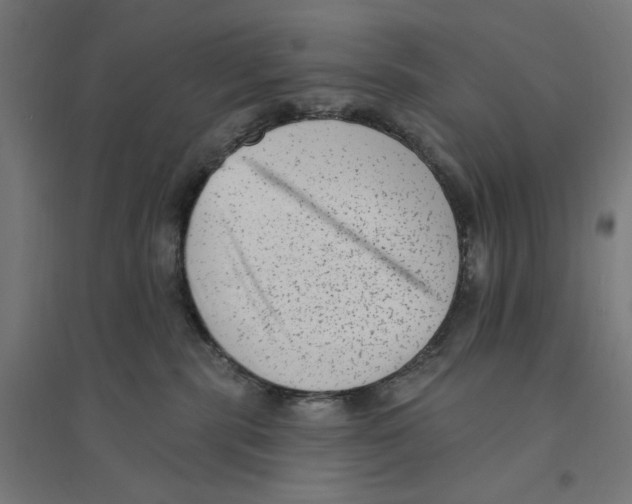 X0000094420283200712061058