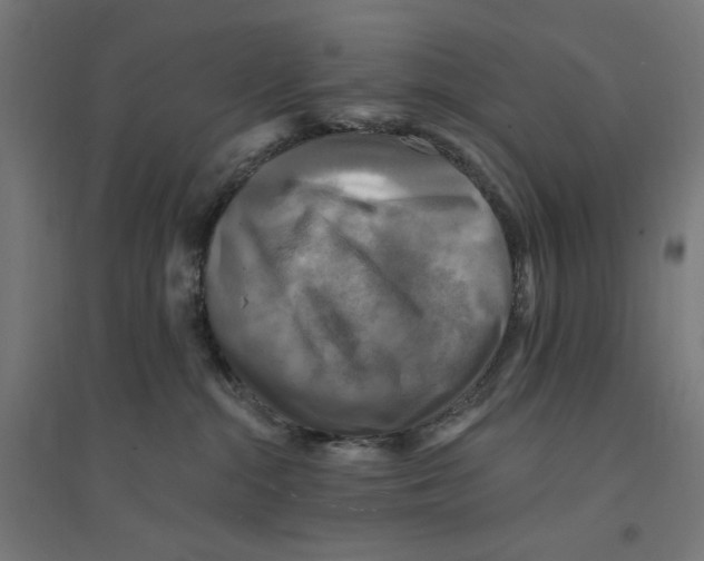 X0000094420284200712061058