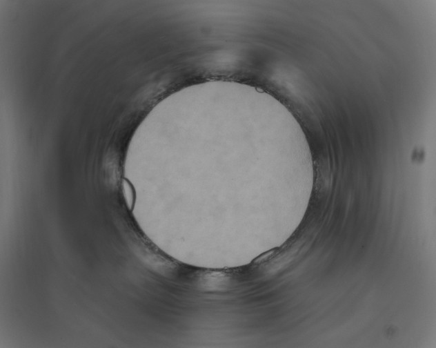 X0000094420287200712061058