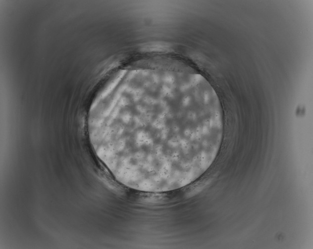 X0000094420288200712061058